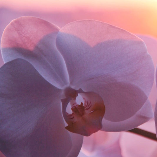 Five Ways to Make Masturbation Better