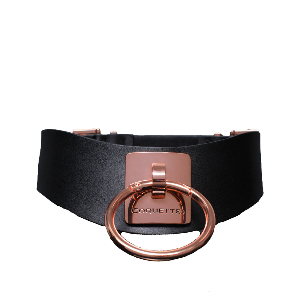 Coquette Pleasure Collar