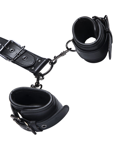 Kinky Play Box Locking Harness Collar to Wrist Restraints