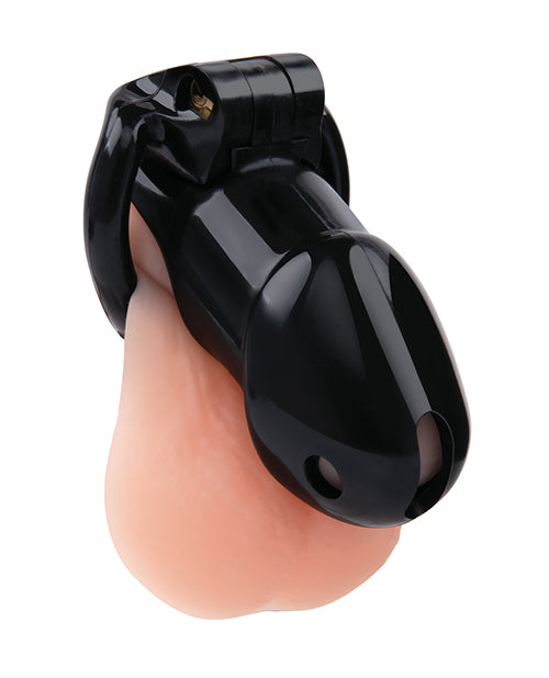 Lockmaster 4" Resin Cock Cage