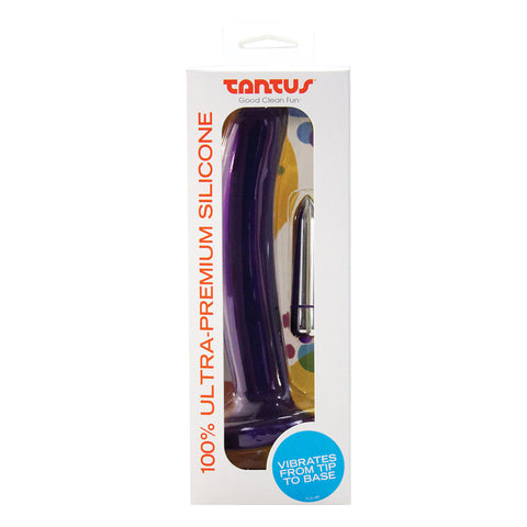 Tantus Leisure Vibe