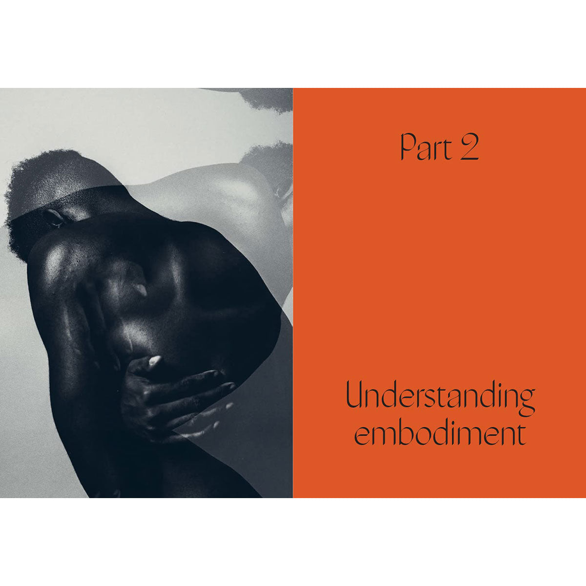 290739118.jpg
