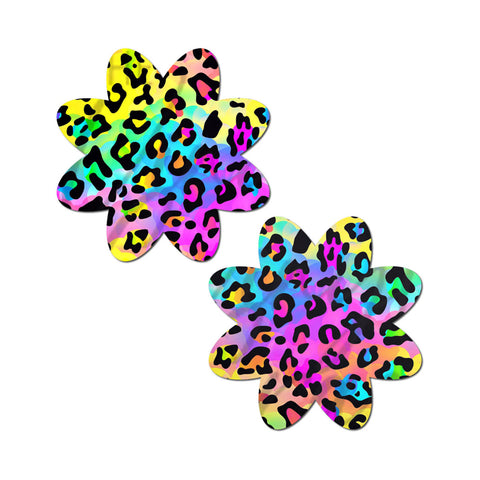 311664251.jpg