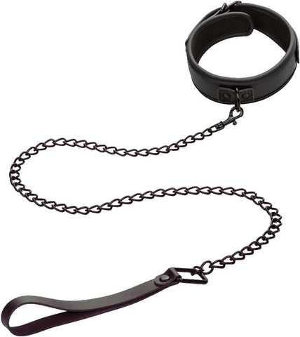 Nocturnal Collection Detachable Collar & Leash