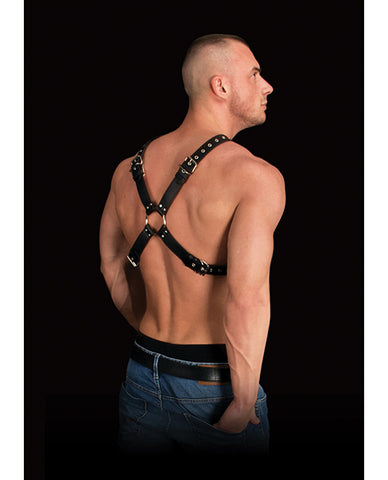 Shots Ouch Adonis High Halter